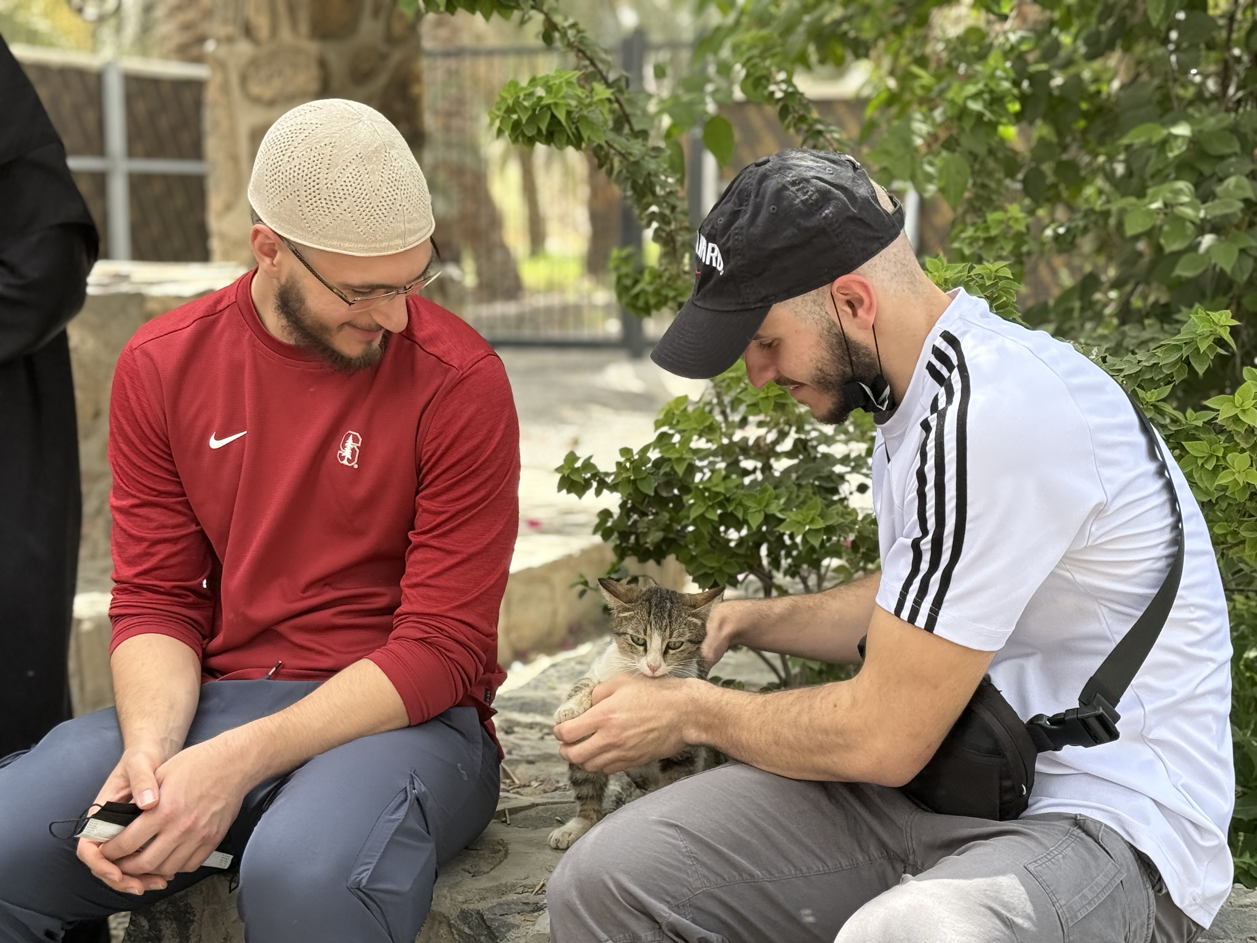 Growing sprout representing nurturing growth