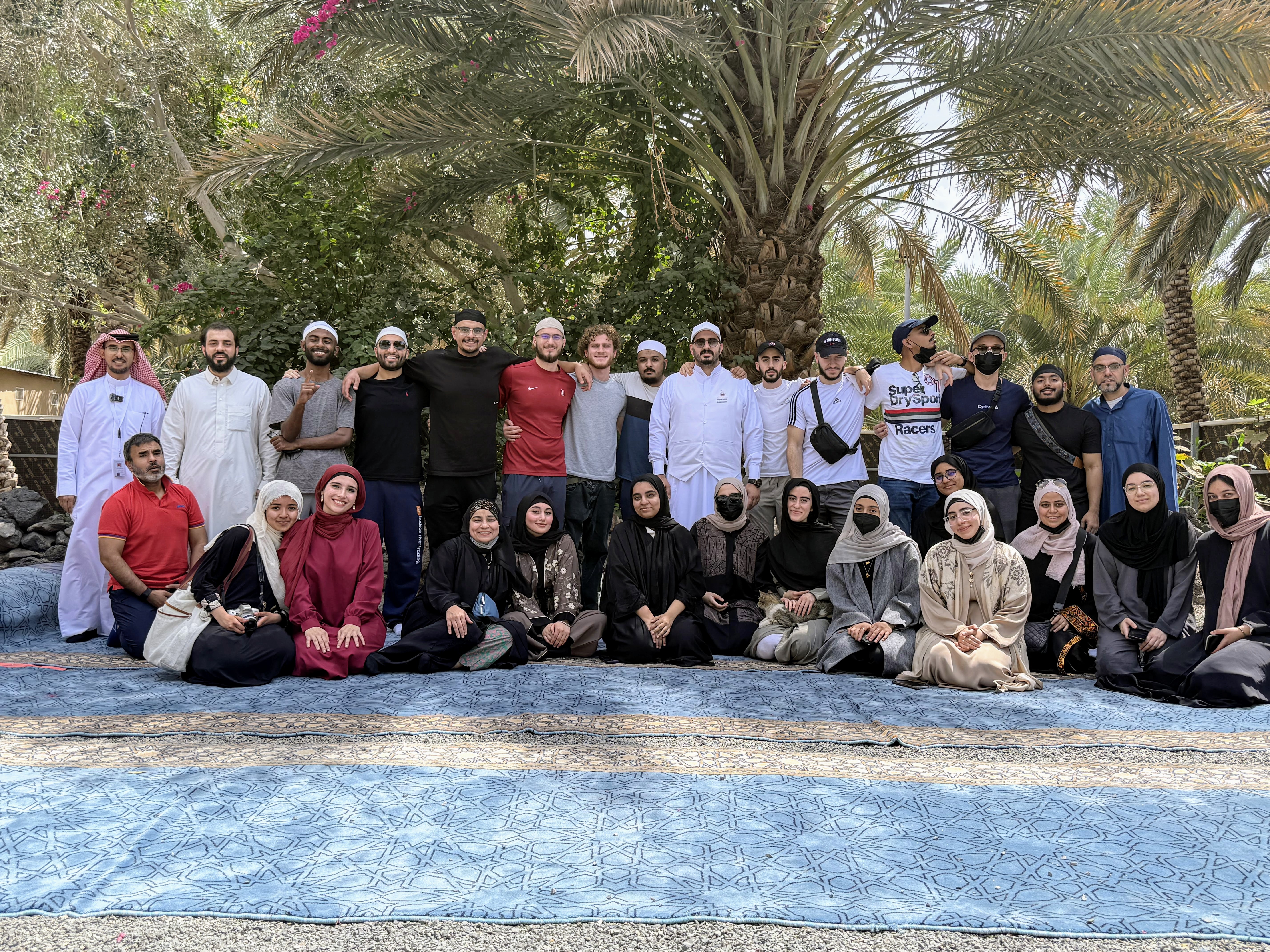 Tree with deep roots representing sustainability and lasting foundation